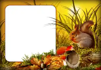 Photo effect from category Autumn № 190592