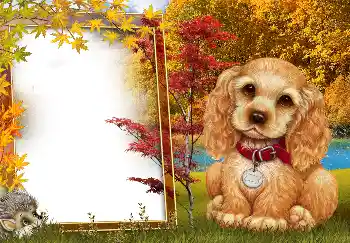 Photo effect from category Autumn № 190594