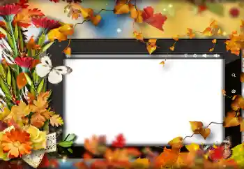 Photo effect from category Autumn № 191705 Photo effect from category Autumn № 191705