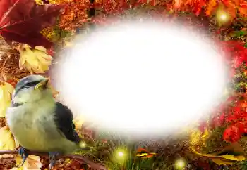 Photo effect from category Autumn № 191761 Photo effect from category Autumn № 191761