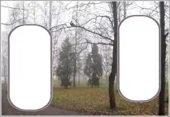 Photo effect from category Autumn № 191770 Photo effect from category Autumn № 191770