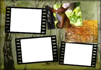 Photo effect from category Autumn № 192848 Photo effect from category Autumn № 192848