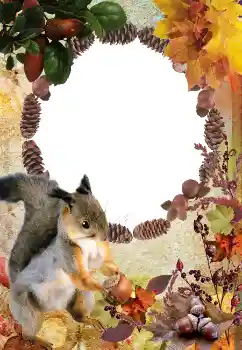 Photo effect from category Autumn № 2011