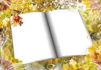 Photo effect from category Autumn № 2016