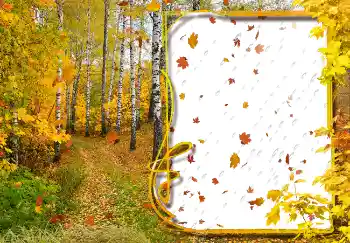 Photo effect from category Autumn № 2029