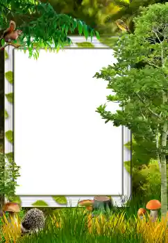 Photo effect from category Autumn № 34731 Photo effect from category Autumn № 34731