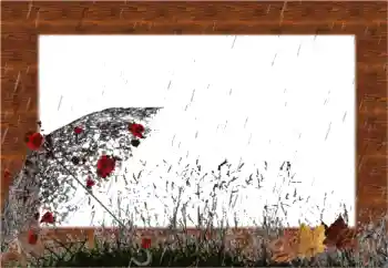 Photo effect from category Autumn № 56541 Photo effect from category Autumn № 56541