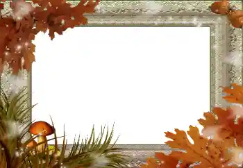 Photo effect from category Autumn № 59045 Photo effect from category Autumn № 59045