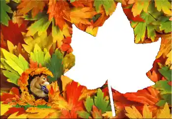 Photo effect from category Autumn № 60345 Photo effect from category Autumn № 60345