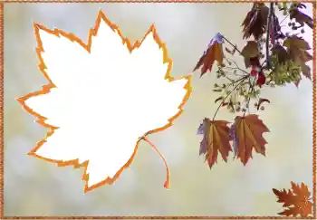 Photo effect from category Autumn № 80359 Photo effect from category Autumn № 80359