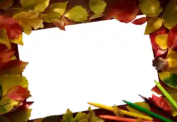 Photo effect from category Autumn № 81689 Photo effect from category Autumn № 81689