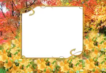 Photo effect from category Autumn № 9797 Photo effect from category Autumn № 9797