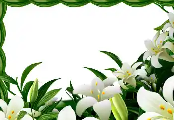 Photo effect from category Spring № 113129