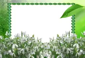 Photo effect from category Spring № 11868 Photo effect from category Spring № 11868