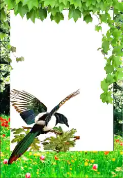 Photo effect from category Spring № 147761 Photo effect from category Spring № 147761