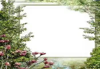 Photo effect from category Spring № 149187 Photo effect from category Spring № 149187