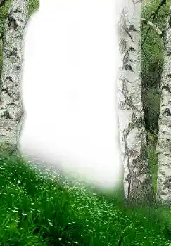 Photo effect from category Spring № 149305