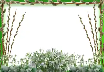 Photo effect from category Spring № 197647