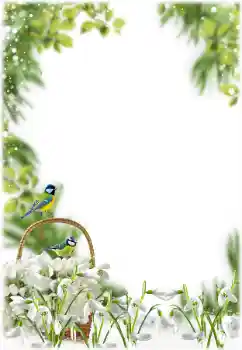 Photo effect from category Spring № 205355 Photo effect from category Spring № 205355