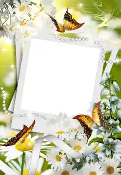 Photo effect from category Spring № 4611 Photo effect from category Spring № 4611