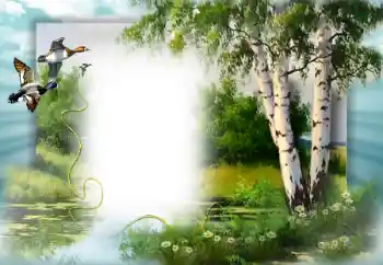 Photo effect from category Spring № 49552