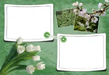 Photo effect from category Spring № 93095 Photo effect from category Spring № 93095