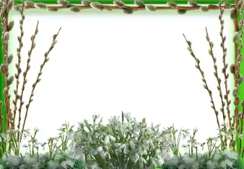 Photo effect from category Spring № 94595 Photo effect from category Spring № 94595