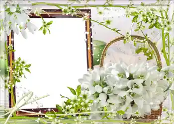 Photo effect from category Spring № 980 Photo effect from category Spring № 980