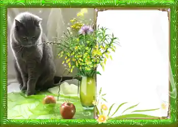 Photo effect from category Spring № 982 Photo effect from category Spring № 982