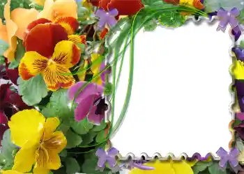 Photo effect from category Spring № 983 Photo effect from category Spring № 983