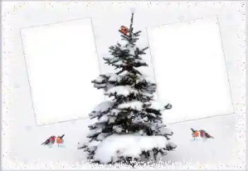 Photo effect from category Winter № 105223 Photo effect from category Winter № 105223