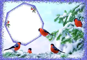 Photo effect from category Winter № 105588 Photo effect from category Winter № 105588