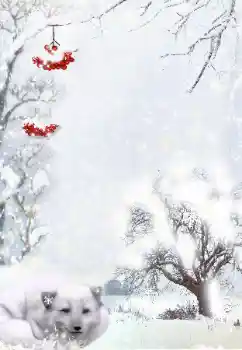 Photo effect from category Winter № 111870 Photo effect from category Winter № 111870