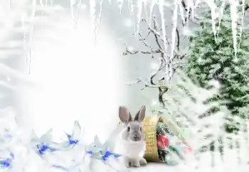 Photo effect from category Winter № 128650 Photo effect from category Winter № 128650