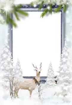 Photo effect from category Winter № 128652 Photo effect from category Winter № 128652