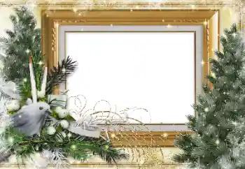 Photo effect from category Winter № 143585 Photo effect from category Winter № 143585