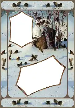 Photo effect from category Winter № 151645 Photo effect from category Winter № 151645