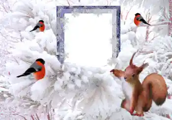 Photo effect from category Winter № 160607 Photo effect from category Winter № 160607