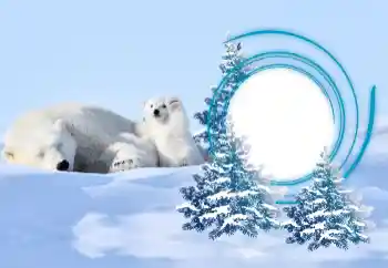 Photo effect from category Winter № 163218 Photo effect from category Winter № 163218