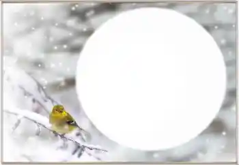 Photo effect from category Winter № 163334 Photo effect from category Winter № 163334