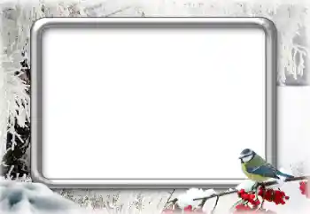 Photo effect from category Winter № 179644 Photo effect from category Winter № 179644