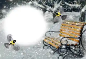 Photo effect from category Winter № 191760 Photo effect from category Winter № 191760