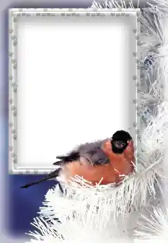 Photo effect from category Winter № 3339 Photo effect from category Winter № 3339