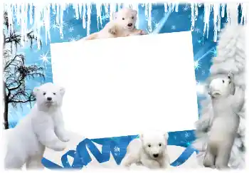 Photo effect from category Winter № 3366 Photo effect from category Winter № 3366