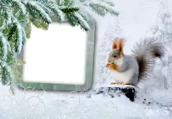 Photo effect from category Winter № 3375 Photo effect from category Winter № 3375