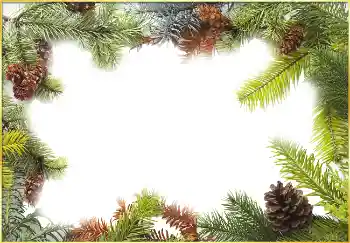 Photo effect from category Winter № 3395 Photo effect from category Winter № 3395