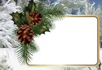 Photo effect from category Winter № 34794