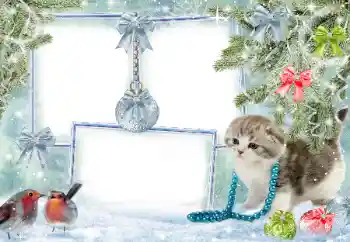 Photo effect from category Winter № 38960