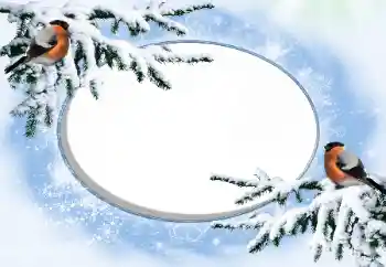 Photo effect from category Winter № 42676 Photo effect from category Winter № 42676