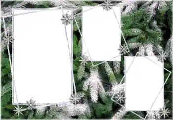 Photo effect from category Winter № 64393 Photo effect from category Winter № 64393